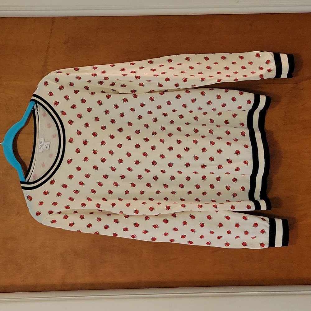 J Crew Ladybug Sweater M